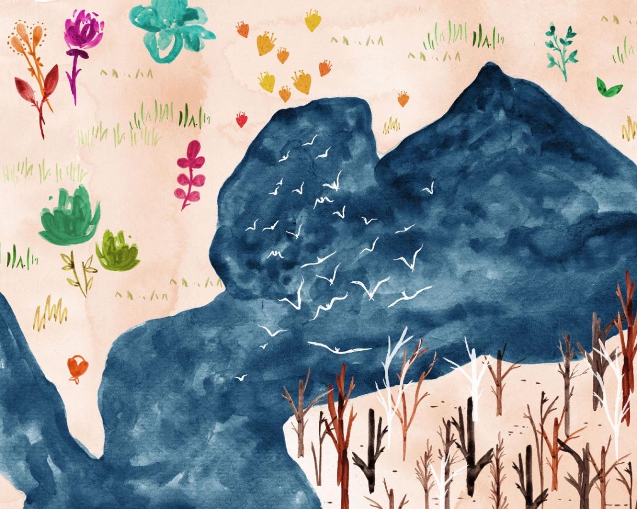 1525_C_20161101172224_13-meera_lee_patel