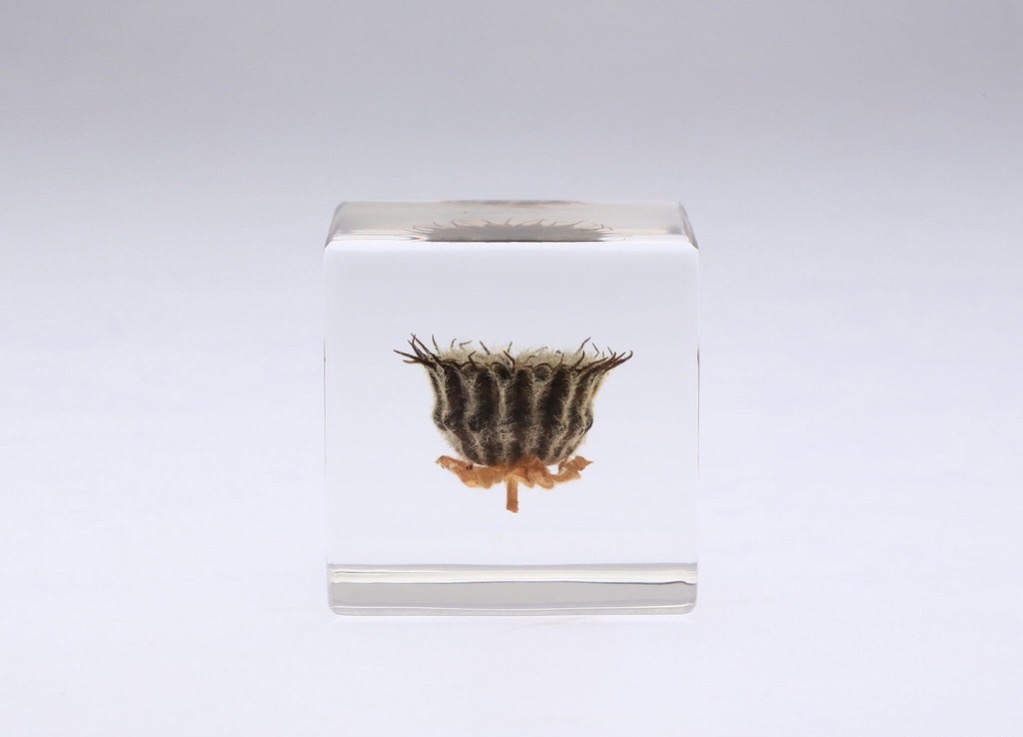 1665_C_20170215183848_4-OB025_03