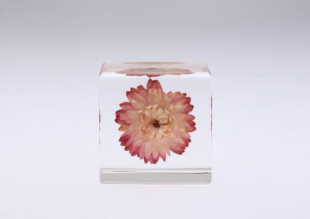 1665_C_20170215183848_5-OB025_02