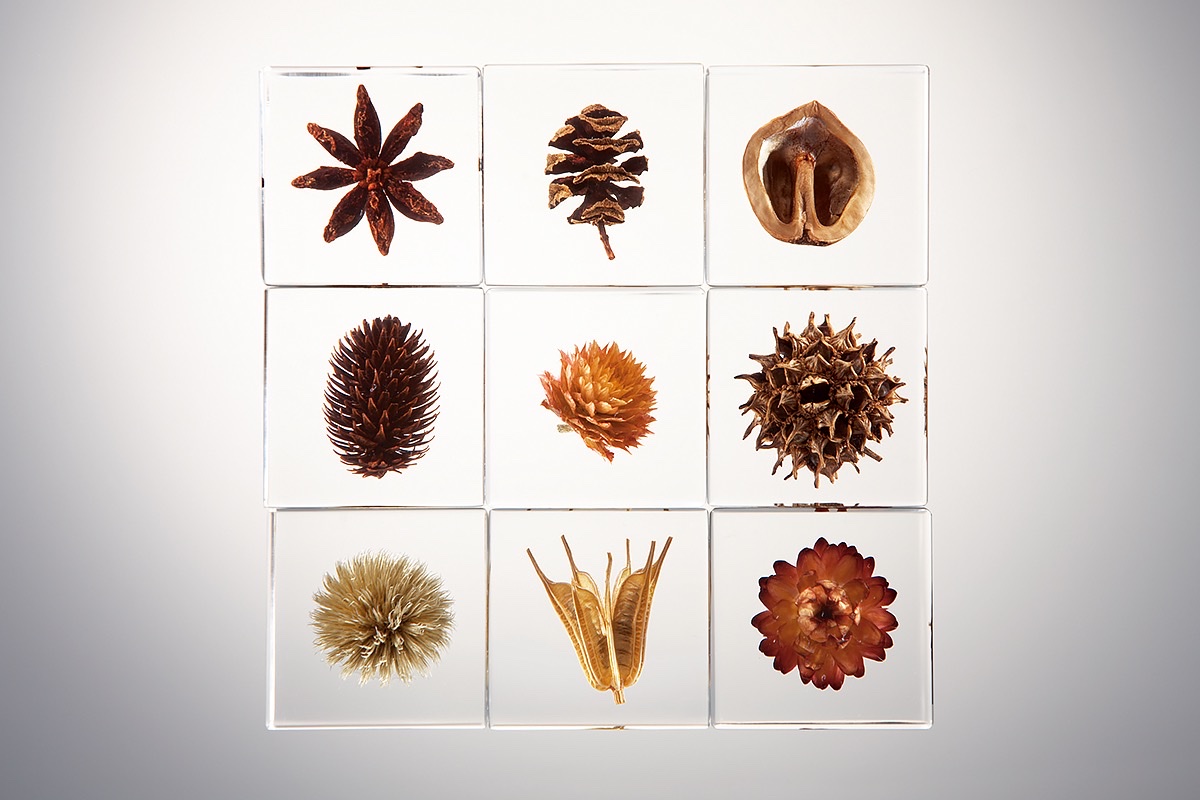 1665_C_20170215183848_6-OB025_01