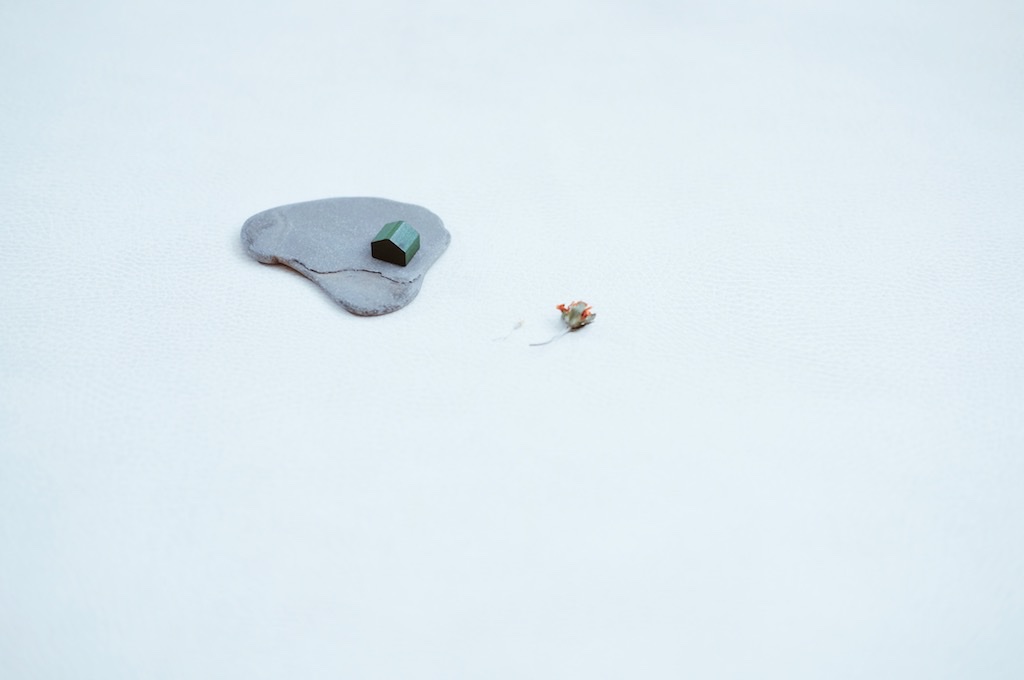 Day-to-day-004-Irene-Leung