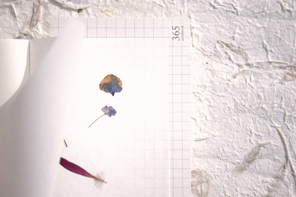 365 notebook_3_final