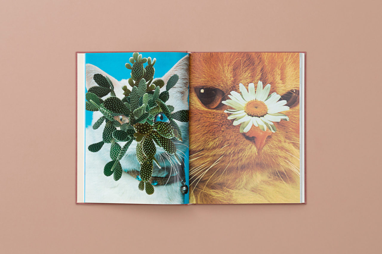 Cats & Plants by Stephen Eichhorn2