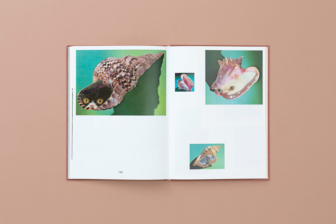 Cats & Plants by Stephen Eichhorn3