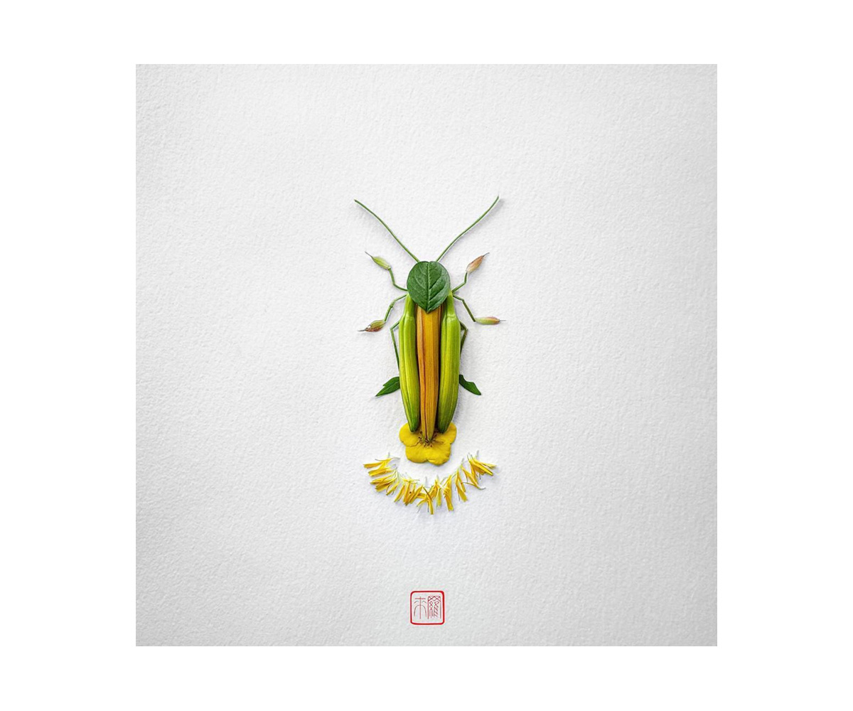 natura-insects-raku-inoue-designboom09