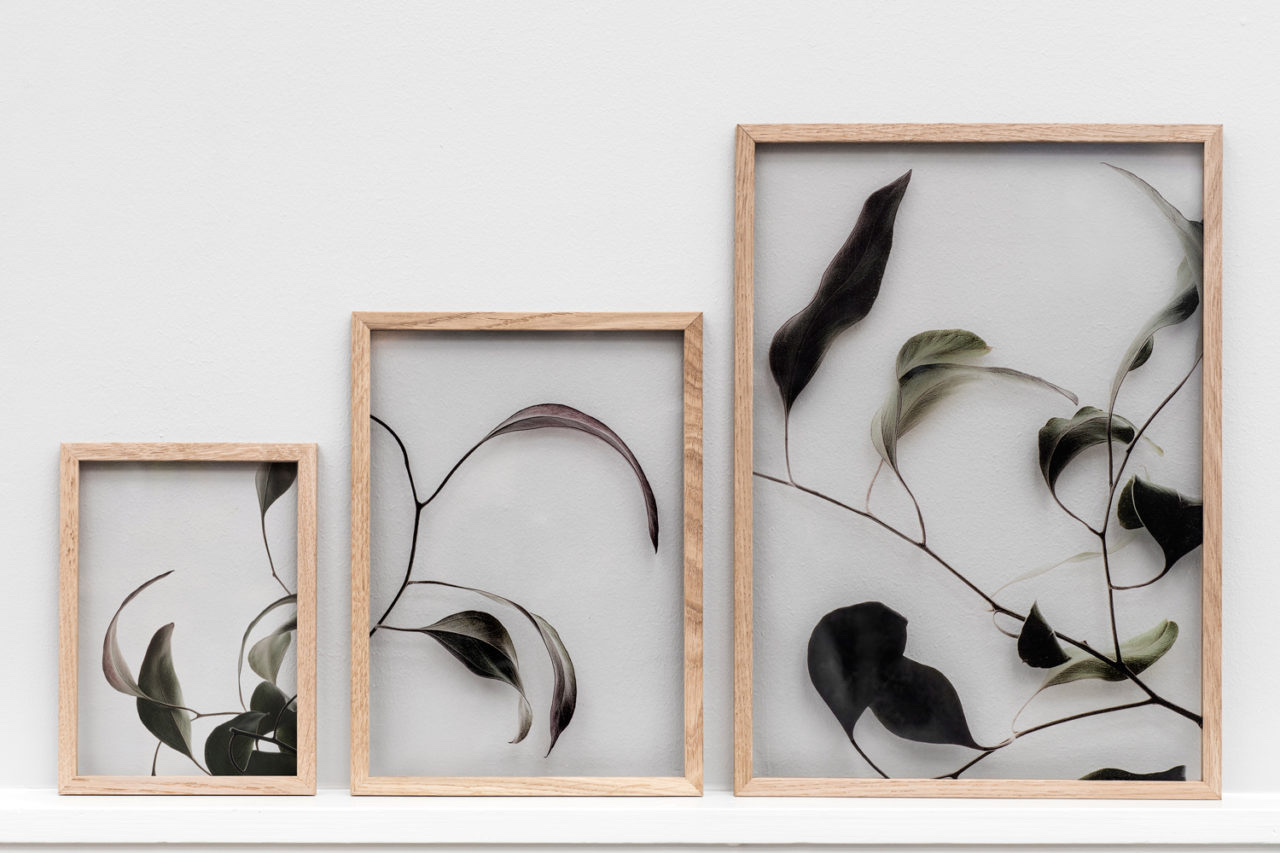 MOEBE_FLOATING_LEAVES_IC_14_High-Res