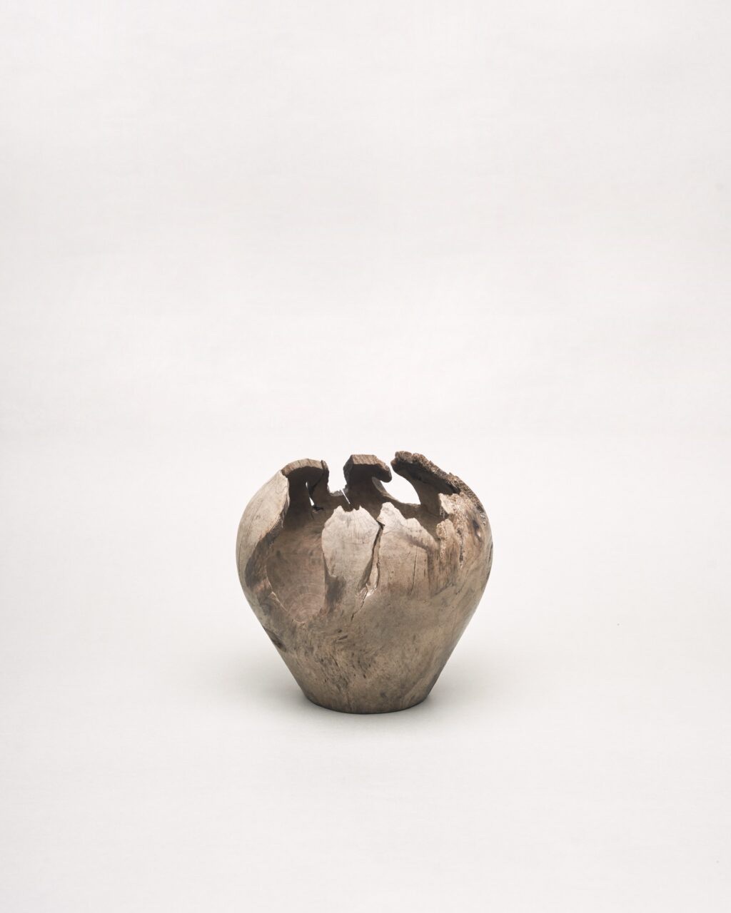 Hiroto Nakanishi – Tangerine Tree Vase