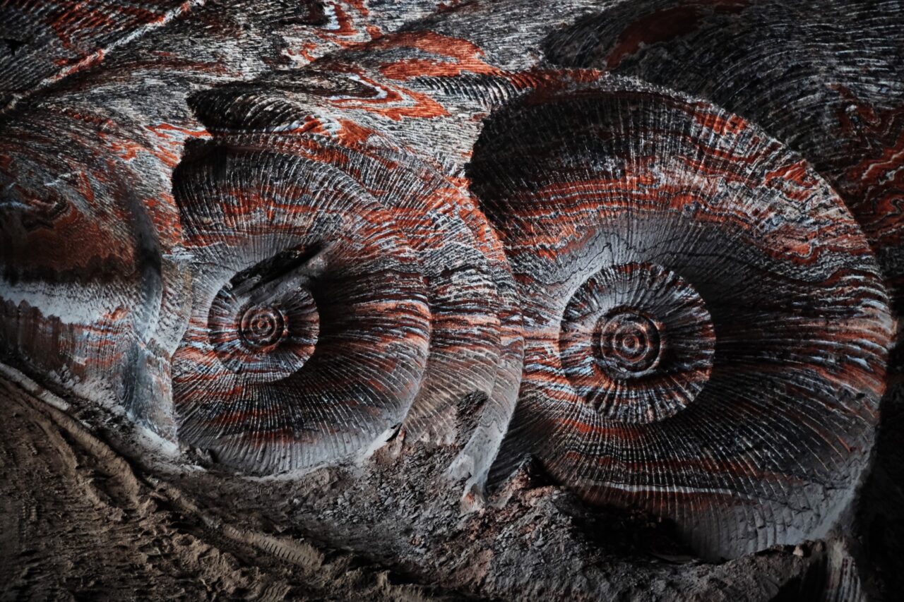 烏拉爾卡利鉀礦區-4號