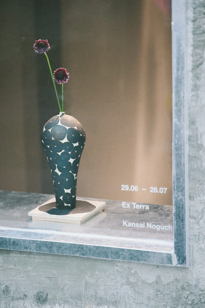 EX TERRA installation_10