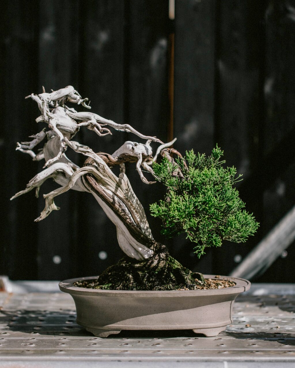 0Z7B6946