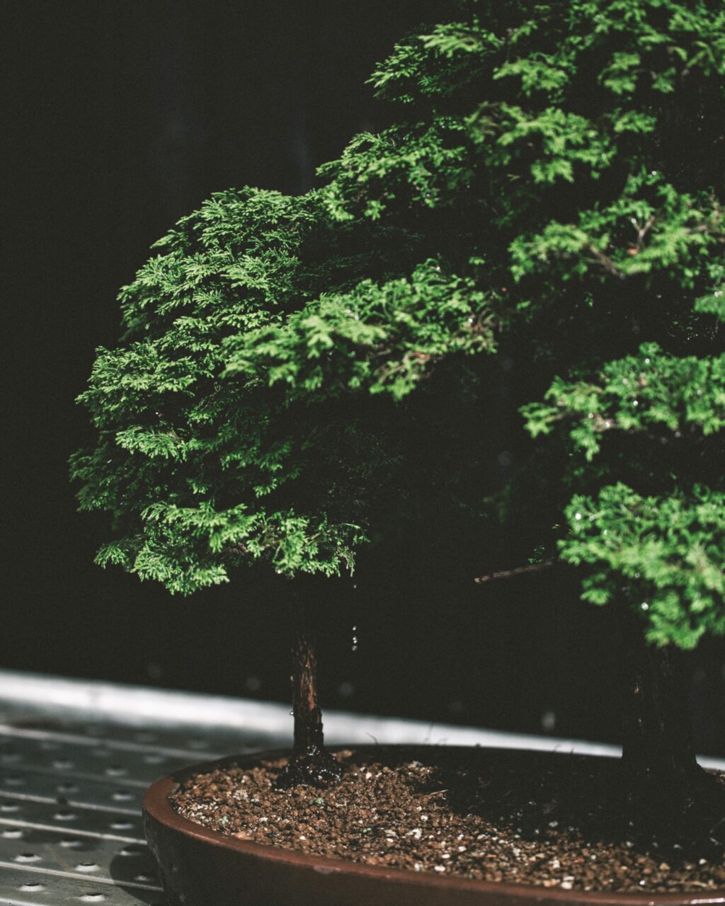 0Z7B7006